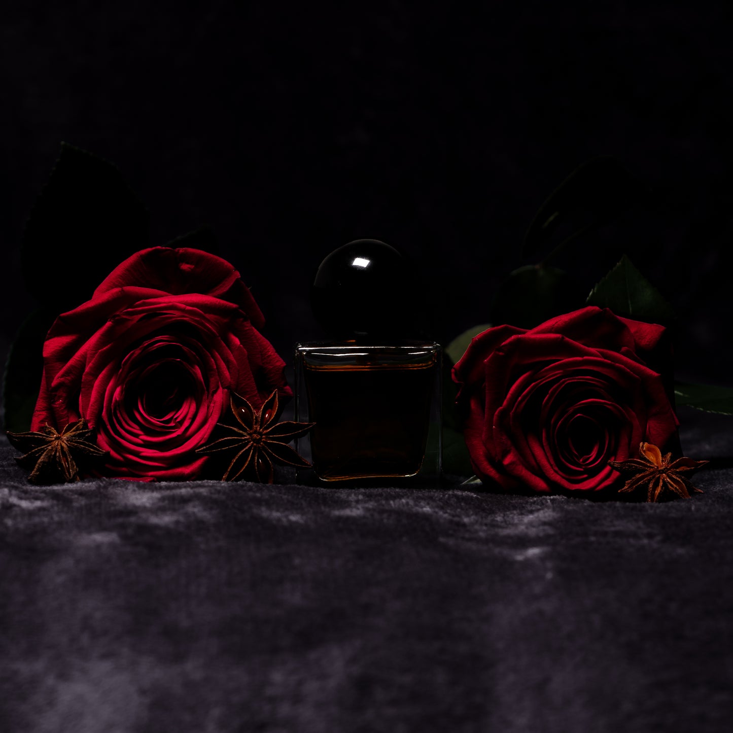 Midnight Velvet - 30mL Bottle